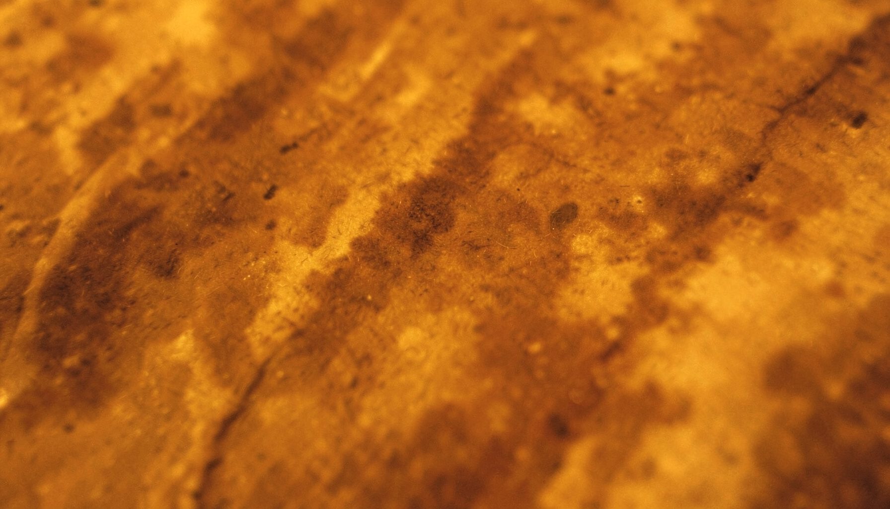 Warm amber and brown abstract texture suggesting data reports and analytics